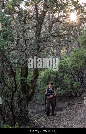 A female hiker in the dense understory of a madrone forest in Henry W. Coe state park in California. Stock Photo