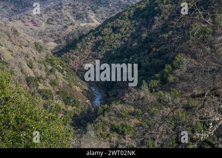 Coyote creek flowing through a valley in the Henry W. Coe state park wilderness in California, USA, North America. Stock Photo