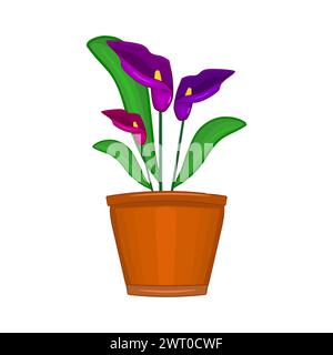 Flowers in pot. Terracotta flowerpot with calla lilies. Houseplant in clay vase for interior decor of home, windowsill or garden. Potted plant spring. Stock Vector