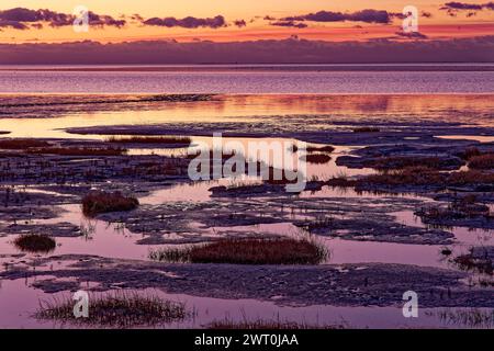 Evening tidal flat landscape shortly after sunset at low tide in the Wadden Sea National Park. UNESCO World Heritage Site, Friedrichskoog Stock Photo
