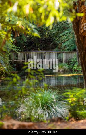 Wooden Bridge Over Tranquil Waters Stock Photo