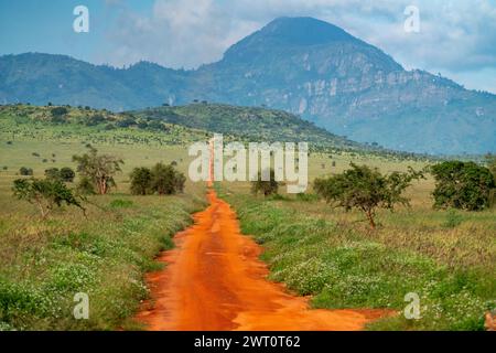 Red dirt road leading up a hill in Tsavo West in Kenya. Stock Photo