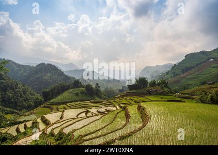 Lush green rice terraces in Vietnam Stock Photo