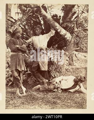 Portrait of three young men. Unknown, photographer 1850s–1890s Portrait of three young men in front of a banyan tree. Two of the men stand in front of the tree, one with his arms folded and one leg casually crossed in front of the other, while his companion rests both hands on separate branches of the tree. A third young man reclines on the ground in front of them, on his side with his head resting in his hand. Stock Photo