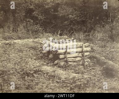 Stack of wood. Henry White, photographer (British, 1819 - 1903) 1855–1865 A stack of logs held together at the edge of a forest. The ground is covered in dense foliage. (Recto, mount) lower left, pencil: "Cordwood. H.White"; (Verso, mount) upper left, pencil: "1350"; (Verso, mount) lower left, pencil: "1416"; Stock Photo