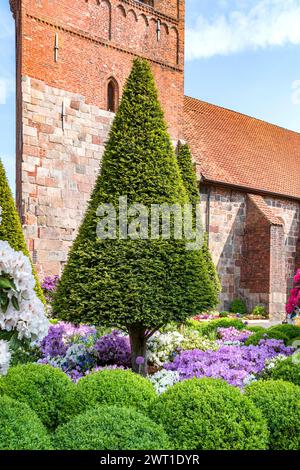 Common yew, English yew, European yew (Taxus baccata), topiary in a garden, Europe, Bundesrepublik Deutschland Stock Photo