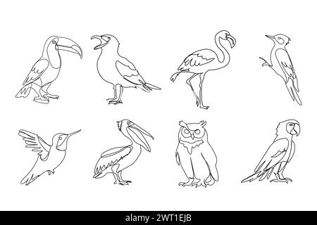 set of different birds, black line drawing, toucan, seagull, owl, owl, parrot,  on white background Stock Vector