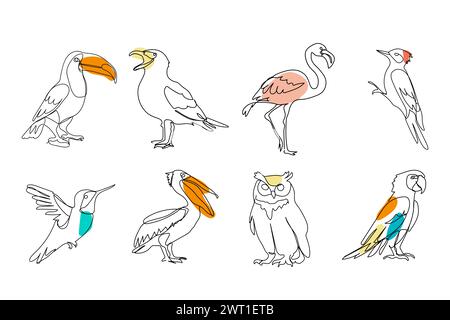 set of different birds colored, black line drawing, toucan, seagull, owl, owl, parrot,  on white background Stock Vector