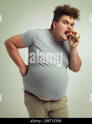 Man, fast food and eating hotdog for lunch in studio background for snack, hunger and craving for plus size guy. Male person, hungry and burger or Stock Photo