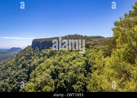 Rock Formation in Rainforest of Springbrook National Park, Queensland, Australia. Stock Photo