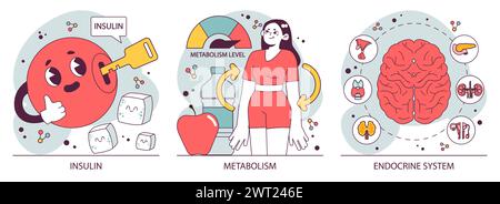 Endocrine system organs and disease set. Human glands function. Pituitary, adrenal and thyroid gland. Human hormones secretion and. balance. Metabolism regulation. Flat vector illustration Stock Vector