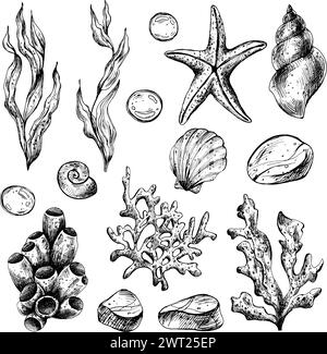Underwater world clipart with sea animals whale, turtle, octopus, seahorse, starfish, shells, coral and algae. Graphic illustration hand drawn in Stock Vector