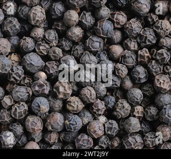 Black Peppercorns -  Macro - Close Up Stock Photo