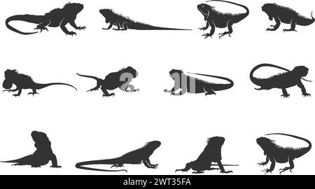 Iguana silhouette, Iguana silhouettes, Iguana vector illustration Stock Vector