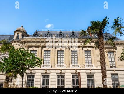 Lush courtyard of Mazarin Library (Bibliothèque Mazarine) with palm trees, in the Palace of the Institute of France, Paris, France Stock Photo