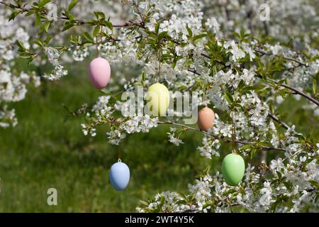 Greeting card Happy Easter with space for text. branches of cherry blossoms in garden decorated with decorative Easter eggs. Holiday concept. Religiou Stock Photo