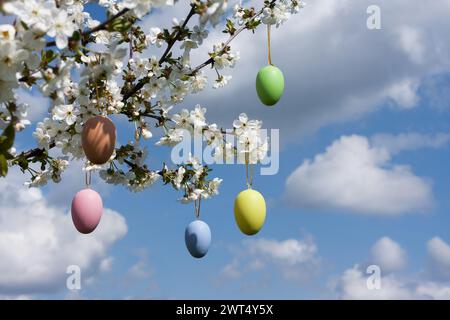 Greeting card Happy Easter with space for text. branches of cherry blossoms are decorated with Easter eggs against blue sky. Holiday concept. Religiou Stock Photo