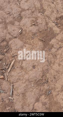 Rich, textured earth, nature’s intricate artwork Stock Photo