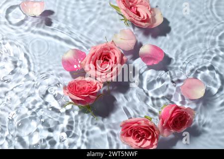 Beautiful roses and petals in water on light blue background, top view Stock Photo
