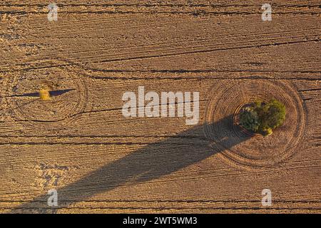 Aerial of patterns in wheat fields ready for harvesting at Wallumbilla on the Maranoa Queensland Australia Stock Photo