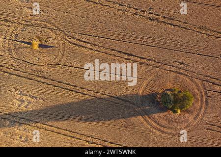 Aerial of patterns in wheat fields ready for harvesting at Wallumbilla on the Maranoa Queensland Australia Stock Photo