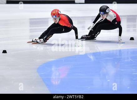 Rotterdam, Netherlands. 15th Mar, 2024. Fan Kexin (L) of China competes during the women's 500m heat at the ISU World Short Track Speed Skating Championships 2024 in Rotterdam, the Netherlands, March 15, 2024. Credit: Lian Yi/Xinhua/Alamy Live News Stock Photo