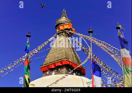 Bodnath or Boudhanath or Boudha Stupa, UNESCO World Heritage Site, stupa with waving prayer flags and a bird in flight against a blue sky, Kathmandu Stock Photo