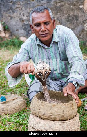 Sri Lanka, Galle, Snake charmer Stock Photo