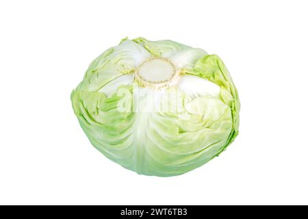 White cabbage head isolated on white. Dutch cabbage vegetable. Brassica oleracea cultivar. Stock Photo