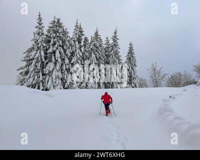 woman with red jacket climb on the snow with snowshoes in winter landscape Stock Photo