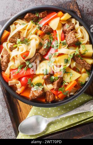 Laghman noodle soup from Uzbekistan made with beef chuck, tomato paste, vegetables and herbs closeup on the plate on the wooden board. Vertical top vi Stock Photo