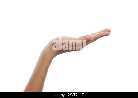 Human palm hand isolated. Empty female hand Stock Photo