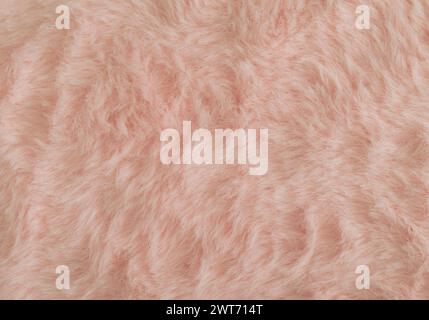 Pinkish orange or peachy pink faux fur background. Close up surface wool texture. Minimal background concept. Trendy color luxury layout. Fluffy fur f Stock Photo