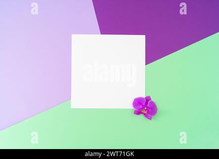 Creative composition made with natural orchid flower and white paper card note on abstract geometric background. Stock Photo