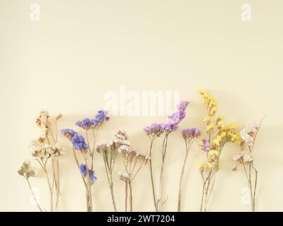 Creative layout made of colorful dry flowers on pastel cream background. Floral greeting card. Minimal concept and simplicity. Nature design. Stock Photo
