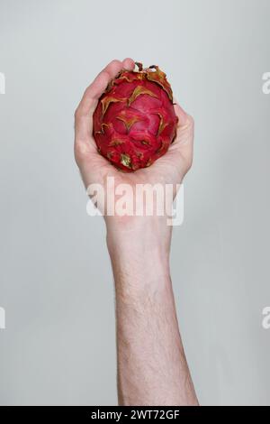 Pitaya on gray background. Dragon fruit. Stock Photo