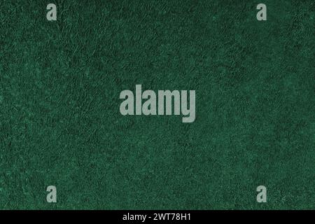 Suede leather texture background, green genuine leather, natural skin animal, top view. Texture for design, background, wallpaper and design Stock Photo