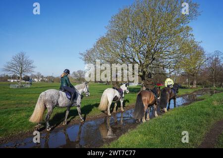 London, UK  16 March 2024 . Horse riders on Wimbledon Common, south west London in the bright spring  sunshine  this morning as weather forecasters predict warm weather over the weekend with mild temperatures.  Credit: amer ghazzal/Alamy Live News Stock Photo