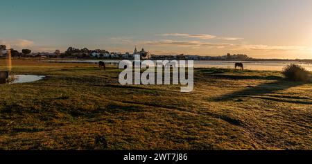 Landscape of the Lagoon in rocio in the Coto de Donana National Park at sunrise Stock Photo