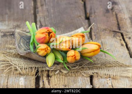 yellow tulips on wooden background - close up Stock Photo