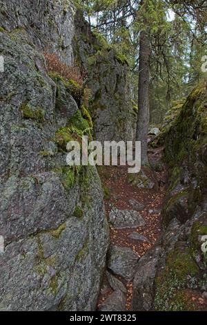 Pirunpesä (Devil´s Nest) is a gorge cutting through the quartzite bedrock at Tiirasmaa nature reserve, Hollola, Finland. Stock Photo
