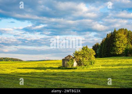 Dilapidated ruin of a stone hut on a freshly mown meadow in the evening light, Swabian Alb, Münsingen, Baden-Württemberg, Germany. Stock Photo