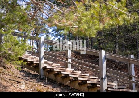 Wooden stairs to the nature trail mountain Stock Photo