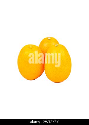 Three fresh kumquat fruits isolated on white background Stock Photo