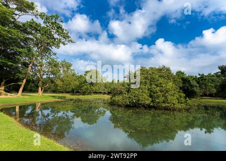 Sigiriya Rock Under Blue Sky, Sri Lanka. A picturesque view of Sigiriya Rock’s pool and greenery under a clear blue sky in Sri Lanka. Stock Photo