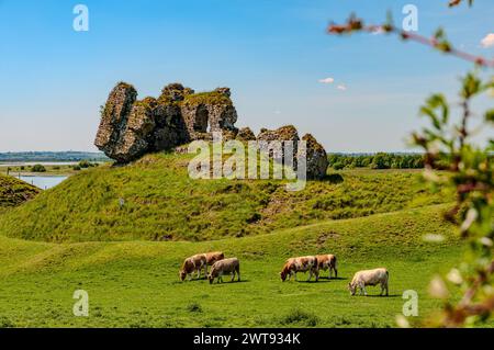 Clonmacnoise was founded in 545 by St Ciarán where the main east-west roads of the time met, across the moors of central Ireland to Eiscir Riada. Stock Photo