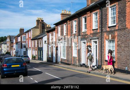 Couple walking dog on residential street - Berkhamsted, borough of Dacorum, Hertfordshire, UK Stock Photo