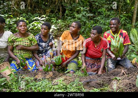 Pygmies of the Baka or BaAka people swear to hunt, hunting magic, net hunting, Dzanga-Sangha Special Dense Forest Reserve, Sangha-Mbaere Stock Photo