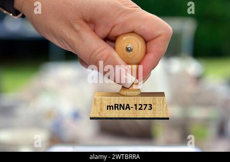 Symbol photo, female hand with stamp, inscription, mRNA-1273, Studio Stock Photo