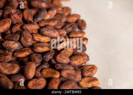 Cocoa beans on a paper towel beside a white bowl on a table Stock Photo